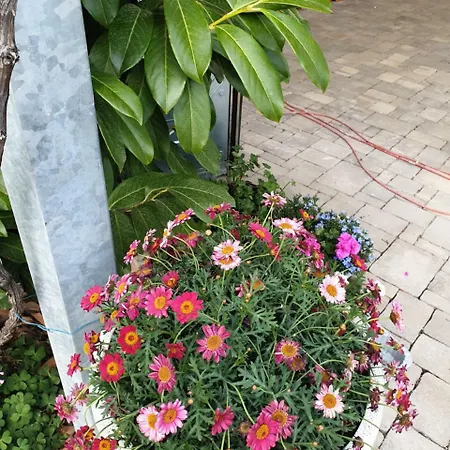 Апартаменты Mary Трогир